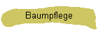 Baumpflege